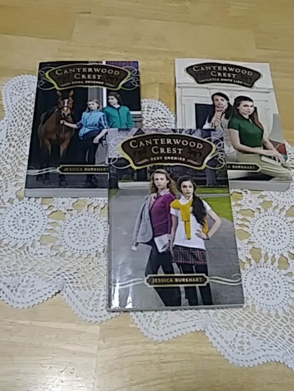 Middle Grade Kid's book bundle -  Canterwood Crest by Jessica Burkhart